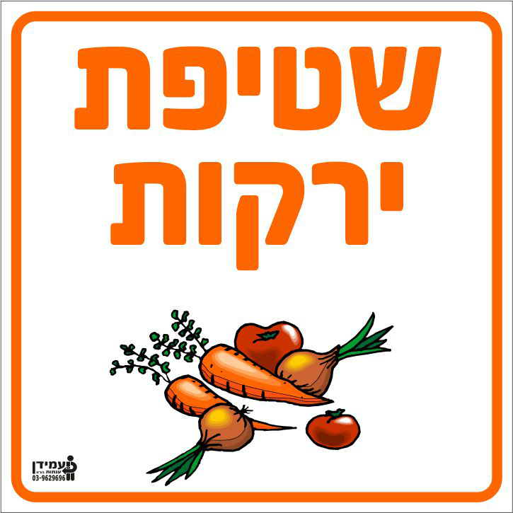 שטיפת ירקות